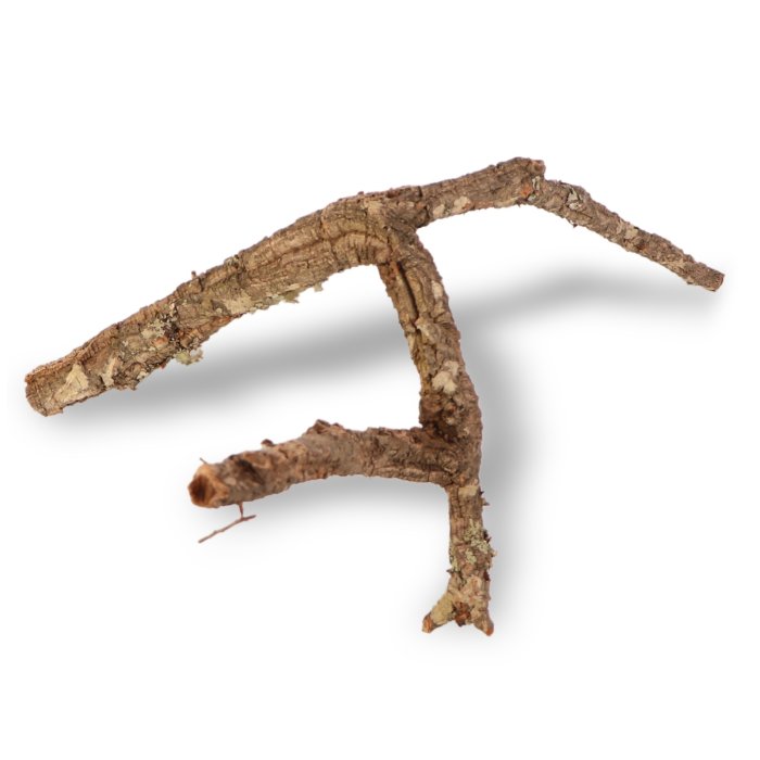Korkový konár - 60cm