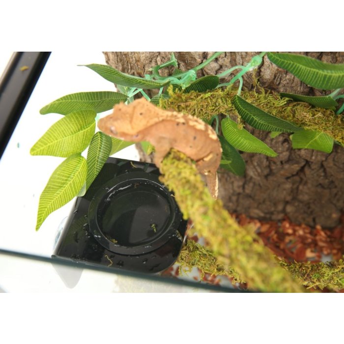 ReptiZoo závesná miska 